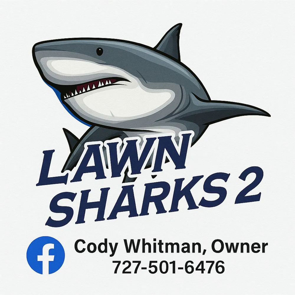 Professional yard cleanup service for outdoor upgrades in Wesley Chapel, FL by Lawn Sharks 2