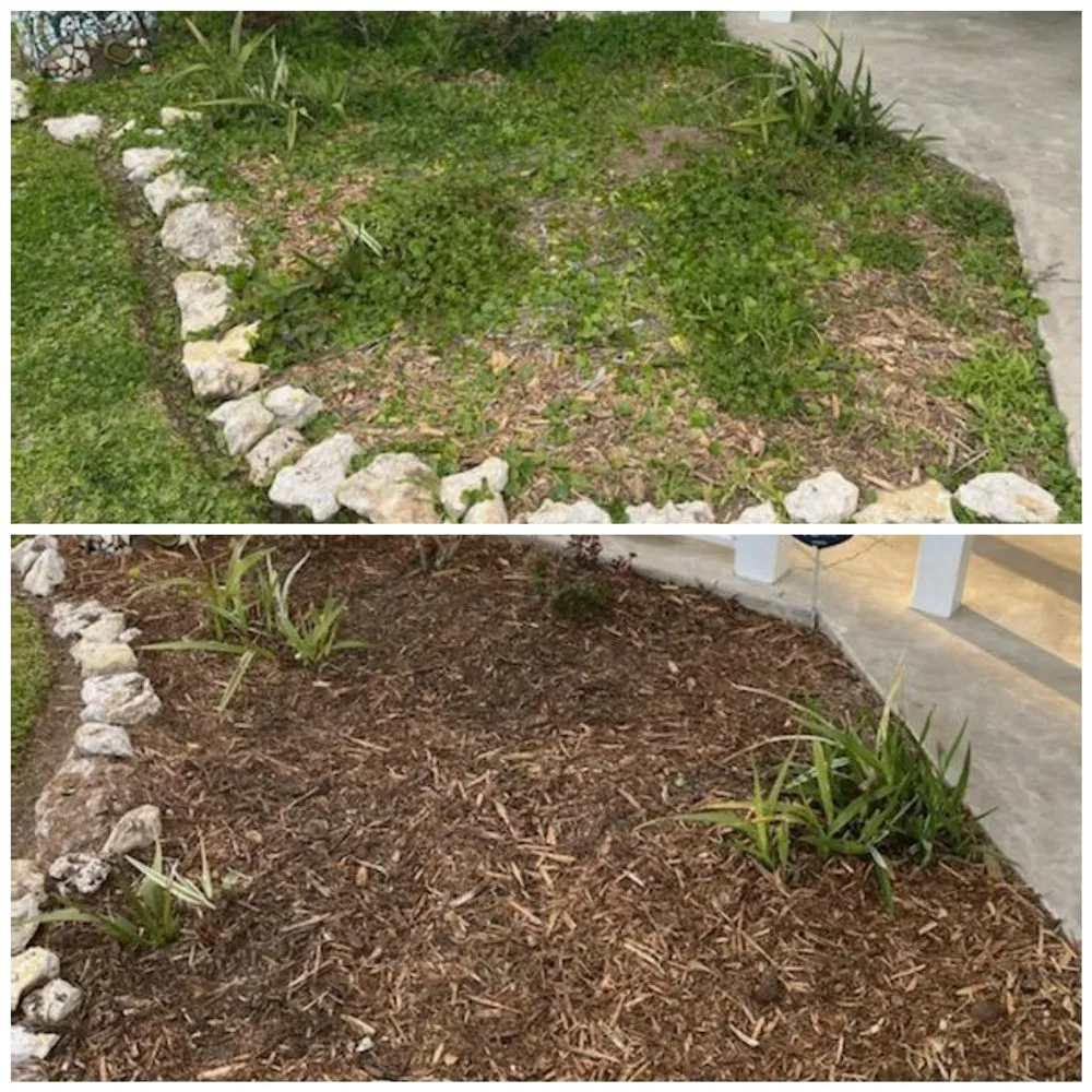 Top-rated landscaping services in Bolivar Peninsula, TX - Lawn Sharks