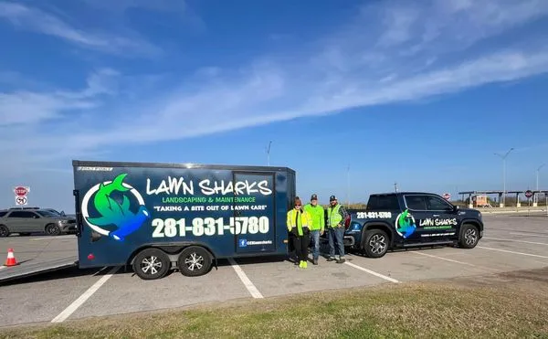 Lawn Sharks