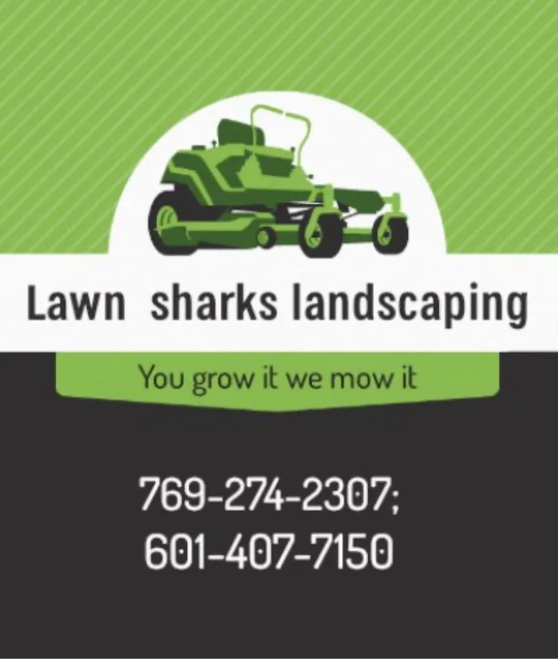 Professional yard maintenance experts serving Edinburg, MS - Lawn Sharks Landscaping