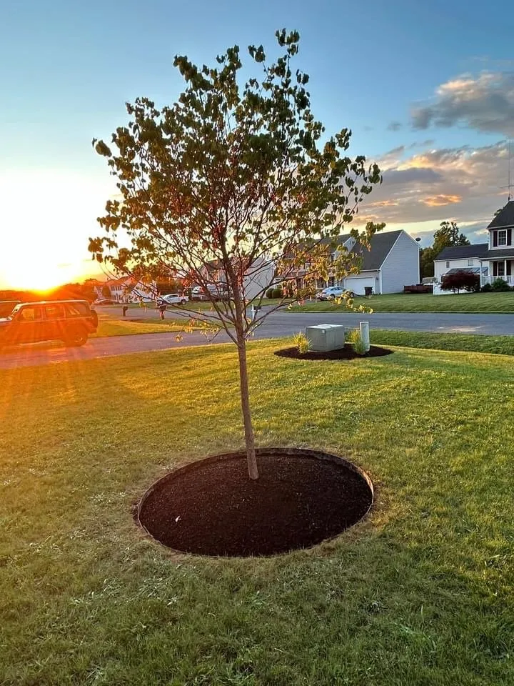 Custom landscape design in Stuarts Draft, VA - Lawn Sharks Landscaping
