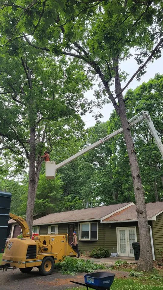 Local yard cleanup service experts serving Stuarts Draft, VA - Lawn Sharks Landscaping