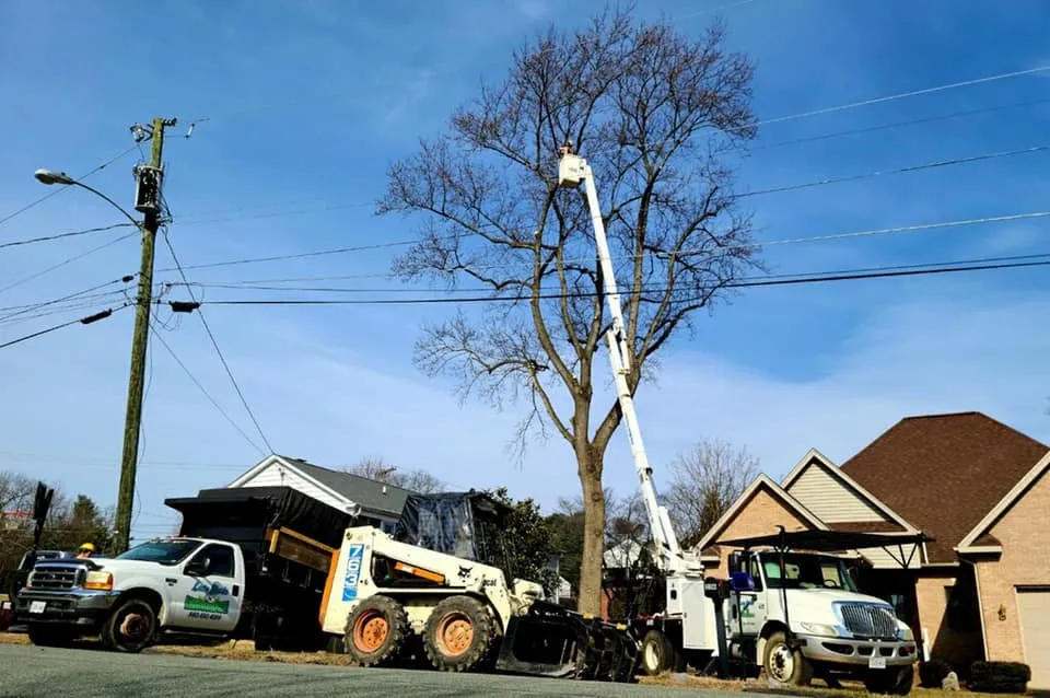 Reliable garden landscaping for beautiful yards across Stuarts Draft, VA - Lawn Sharks Landscaping