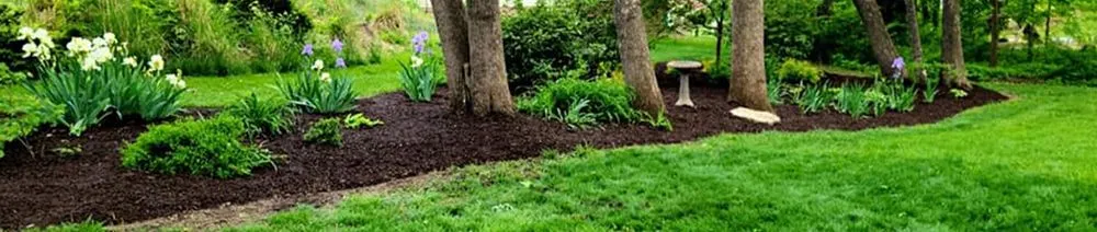 Professional yard maintenance in Stuarts Draft, VA by Lawn Sharks Landscaping