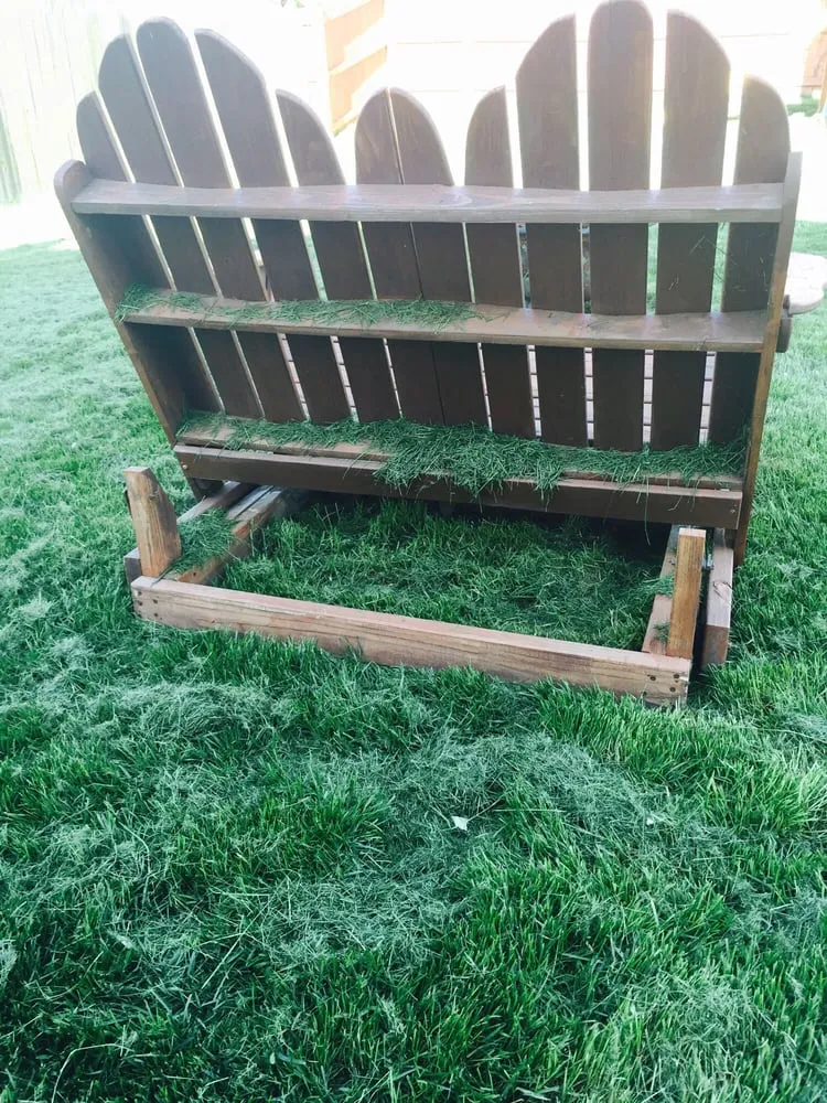 Top-rated yard cleanup service for homes in Morris, IL by Lawn Sharks Lawn Maintenance