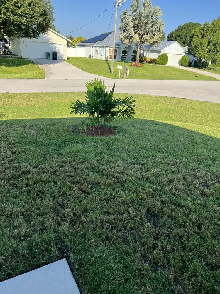 Custom lawn care service experts serving Port St. Lucie, FL - Lawn Sharks