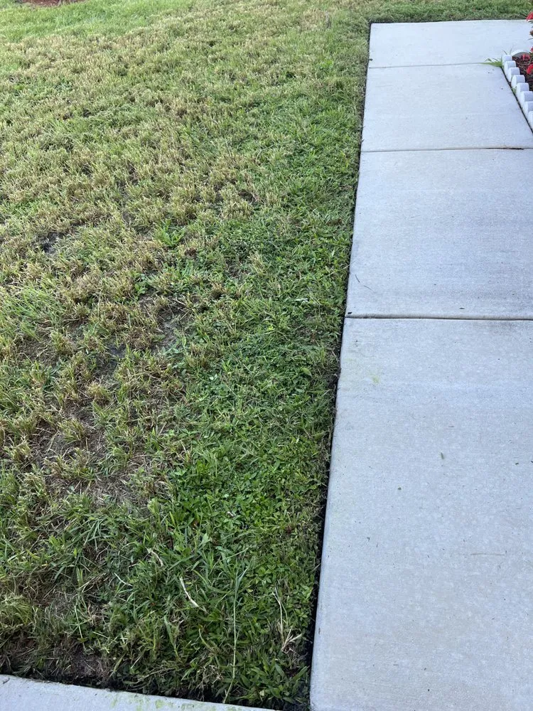 Affordable outdoor landscaping with custom design in Port St. Lucie, FL by Lawn Sharks