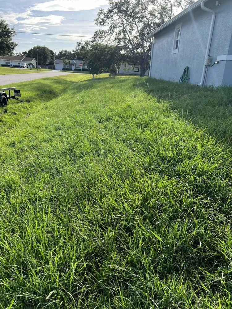 Custom lawn care service in Port St. Lucie, FL by Lawn Sharks