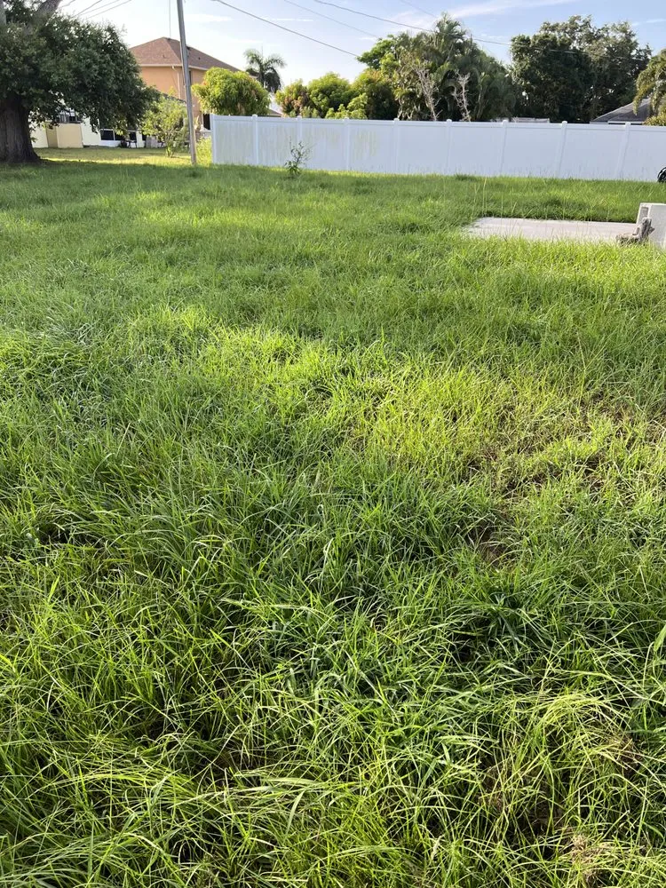 Expert landscaping services in Port St. Lucie, FL - Lawn Sharks