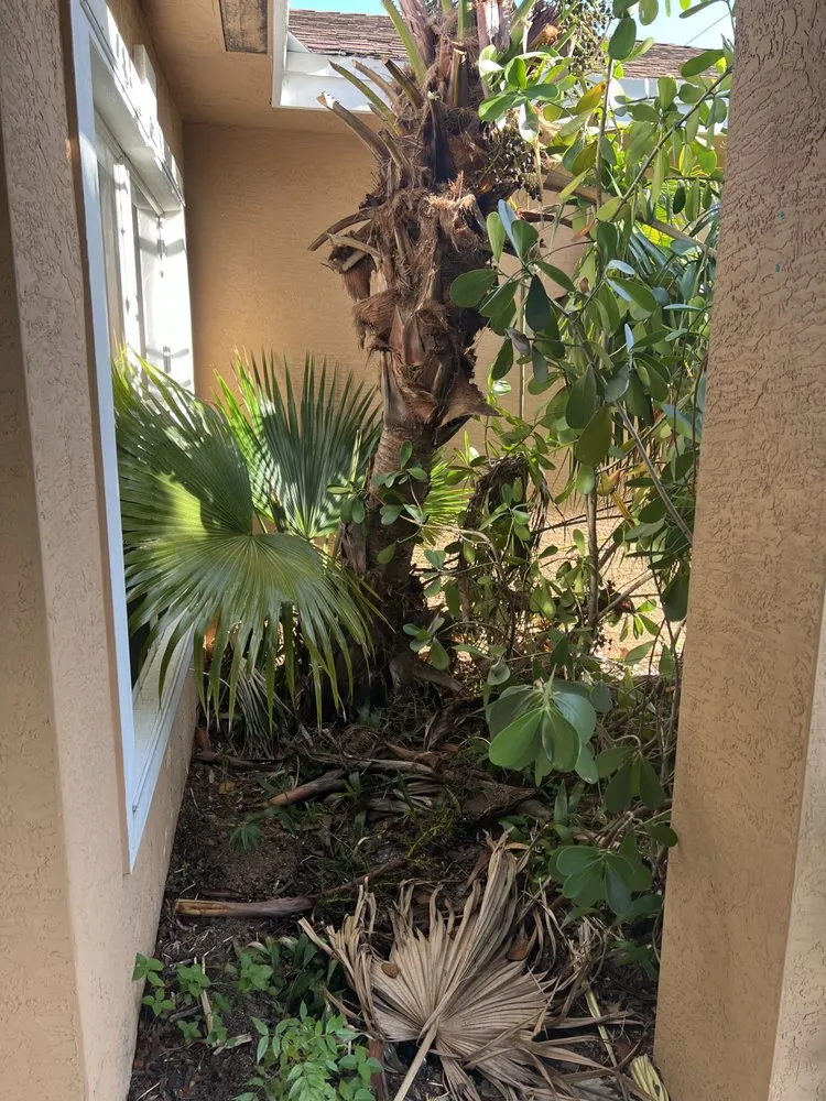 Affordable residential landscaping in Port St. Lucie, FL by Lawn Sharks