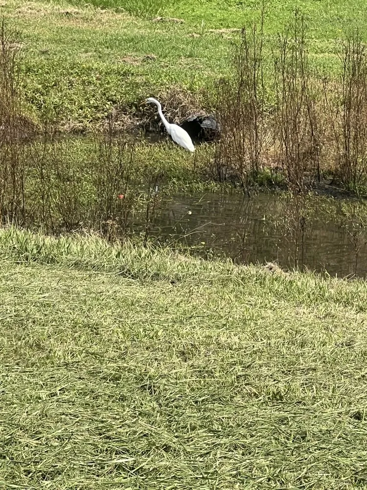 Top-rated lawn care service in Port St. Lucie, FL by Lawn Sharks