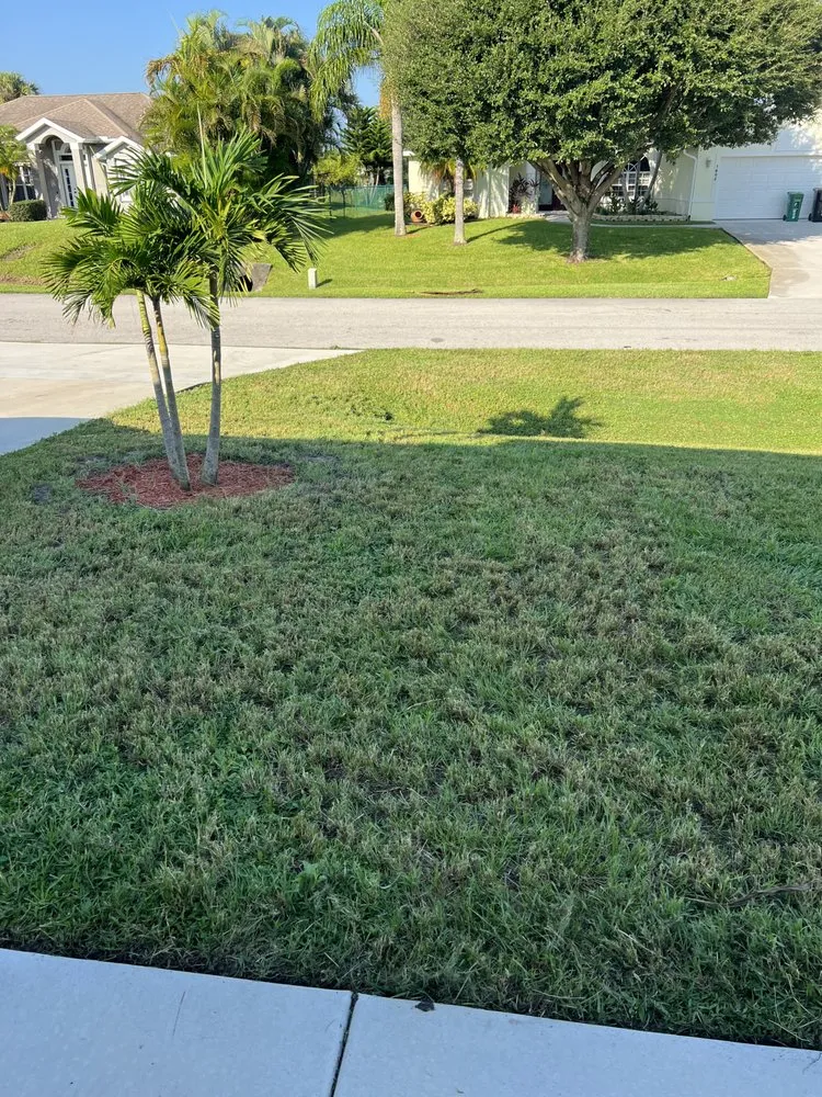 Professional lawn care service in Port St. Lucie, FL by Lawn Sharks