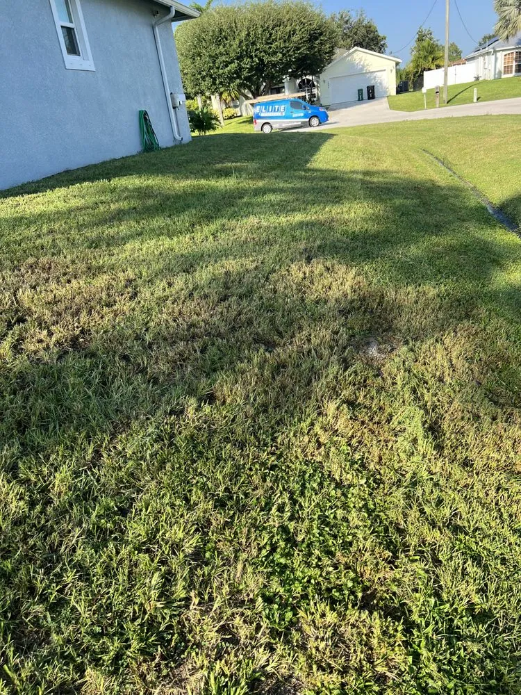 Professional landscape installation experts serving Port St. Lucie, FL - Lawn Sharks