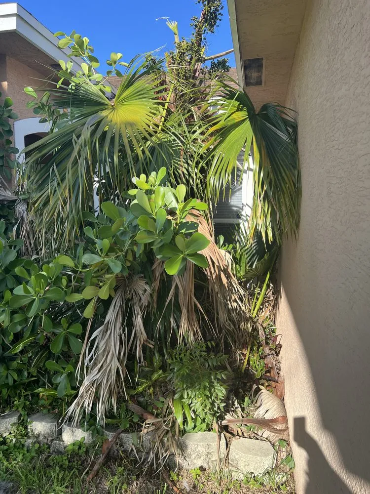 Expert lawn mowing service experts serving Port St. Lucie, FL - Lawn Sharks