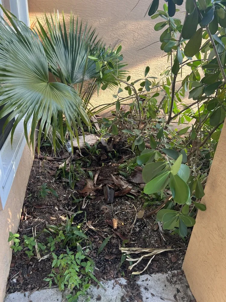 Local outdoor landscaping near you across Port St. Lucie, FL - Lawn Sharks