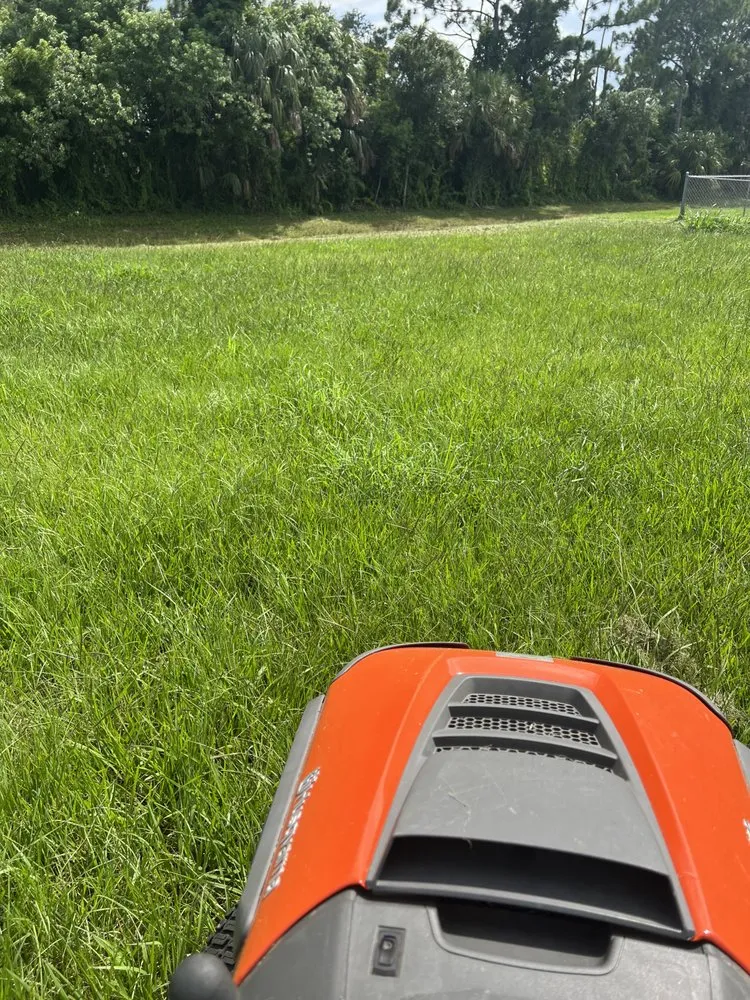 Expert yard cleanup service experts serving Port St. Lucie, FL - Lawn Sharks