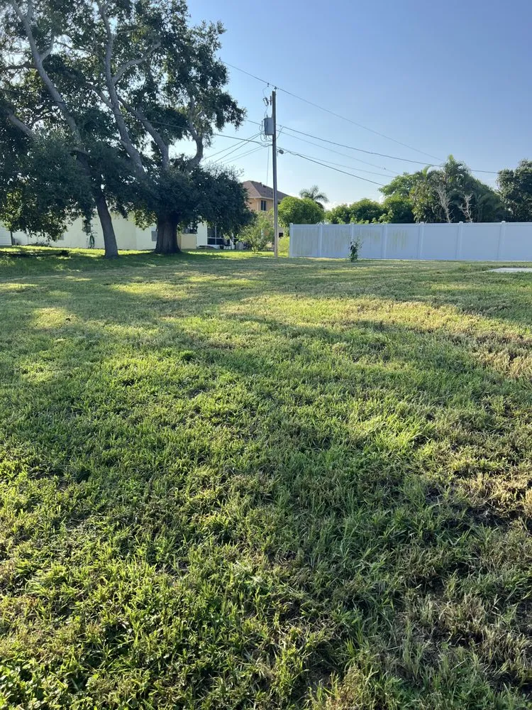 Affordable landscape installation in Port St. Lucie, FL - Lawn Sharks