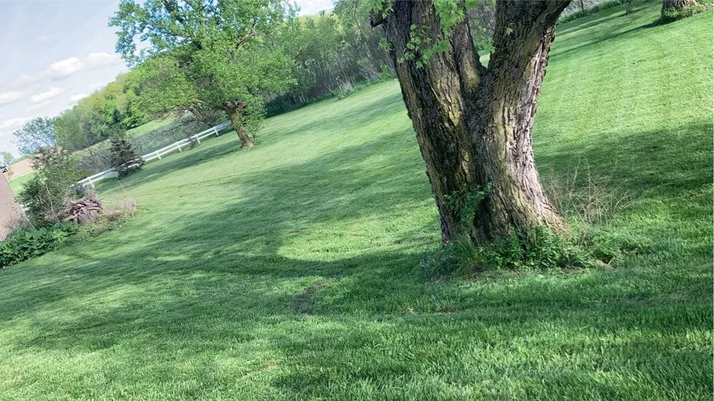 Local landscape design in South Whitley, IN - Lawn Shiners