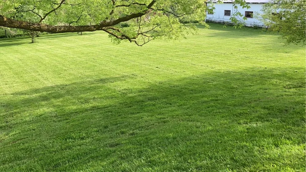 Expert landscaping services for outdoor upgrades in South Whitley, IN by Lawn Shiners