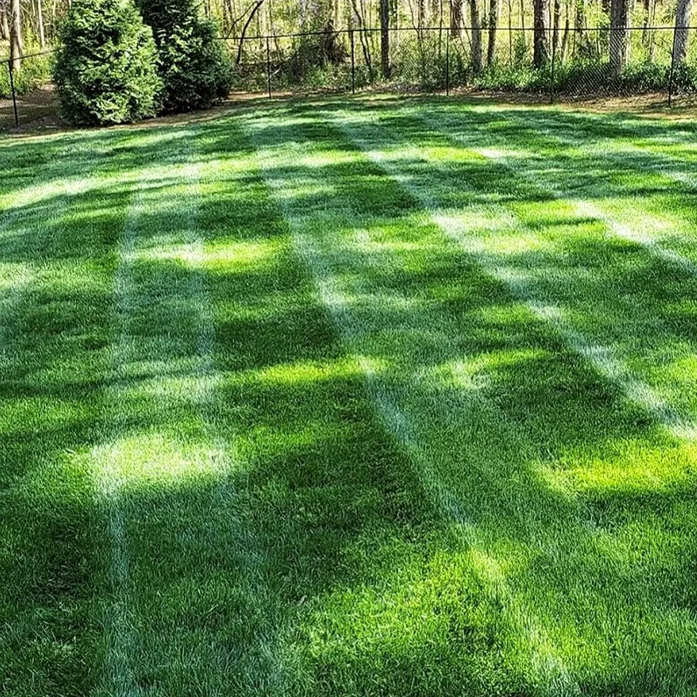 Expert garden landscaping with custom design across Tuckerton, NJ - Lawn Slayer