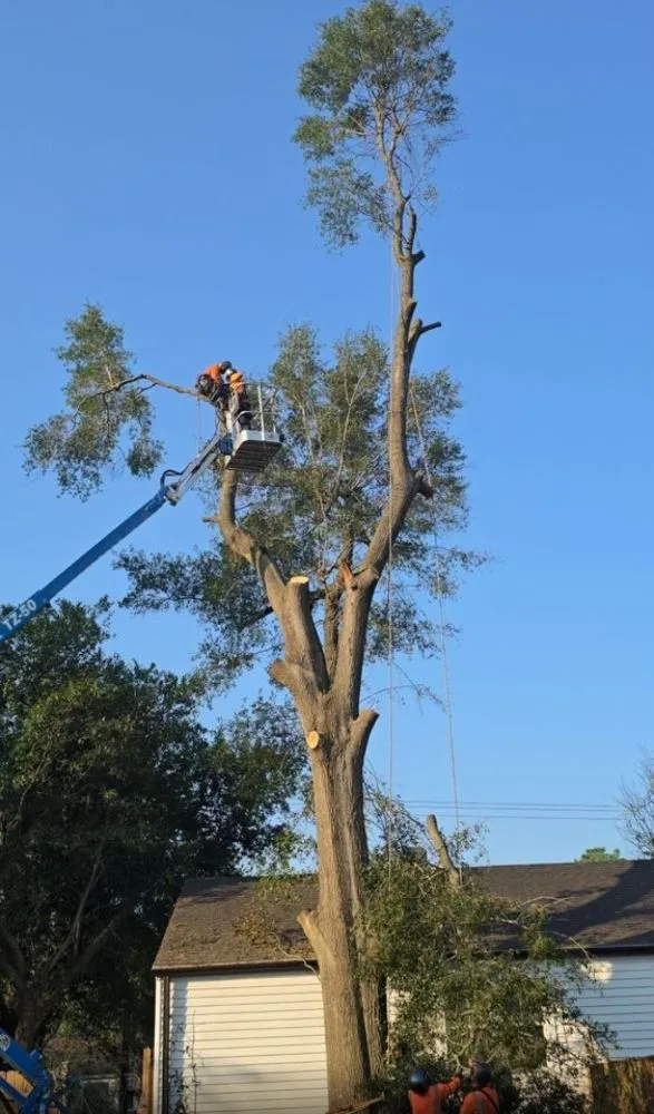 Trusted landscape design for outdoor upgrades across McDonough, GA - Lawn Slayers