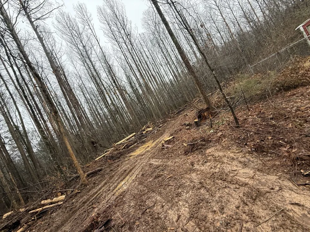 Custom landscaping services for outdoor upgrades in McDonough, GA by Lawn Slayers