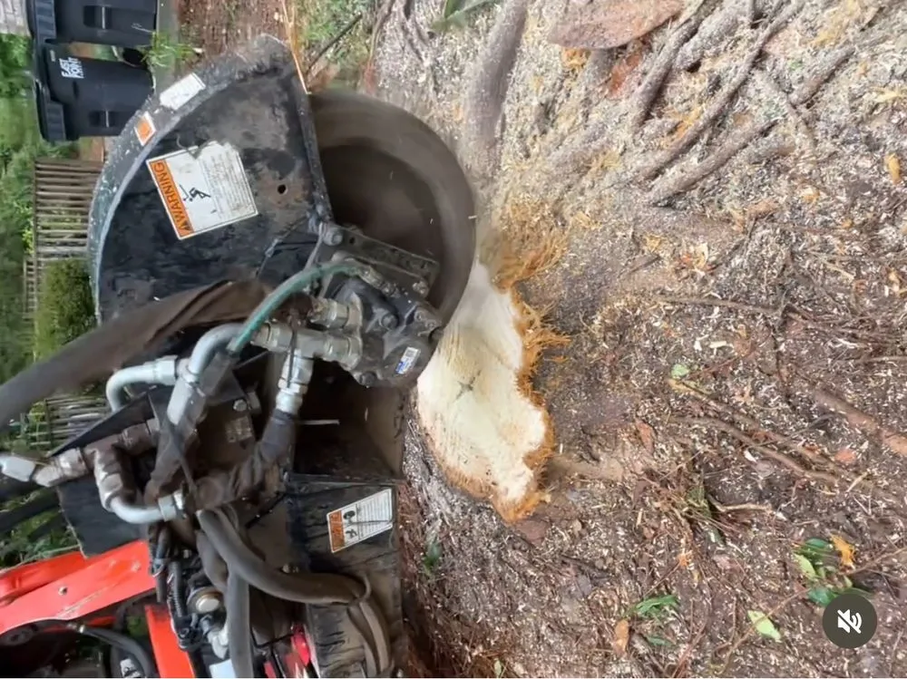 Custom landscape design in McDonough, GA by Lawn Slayers