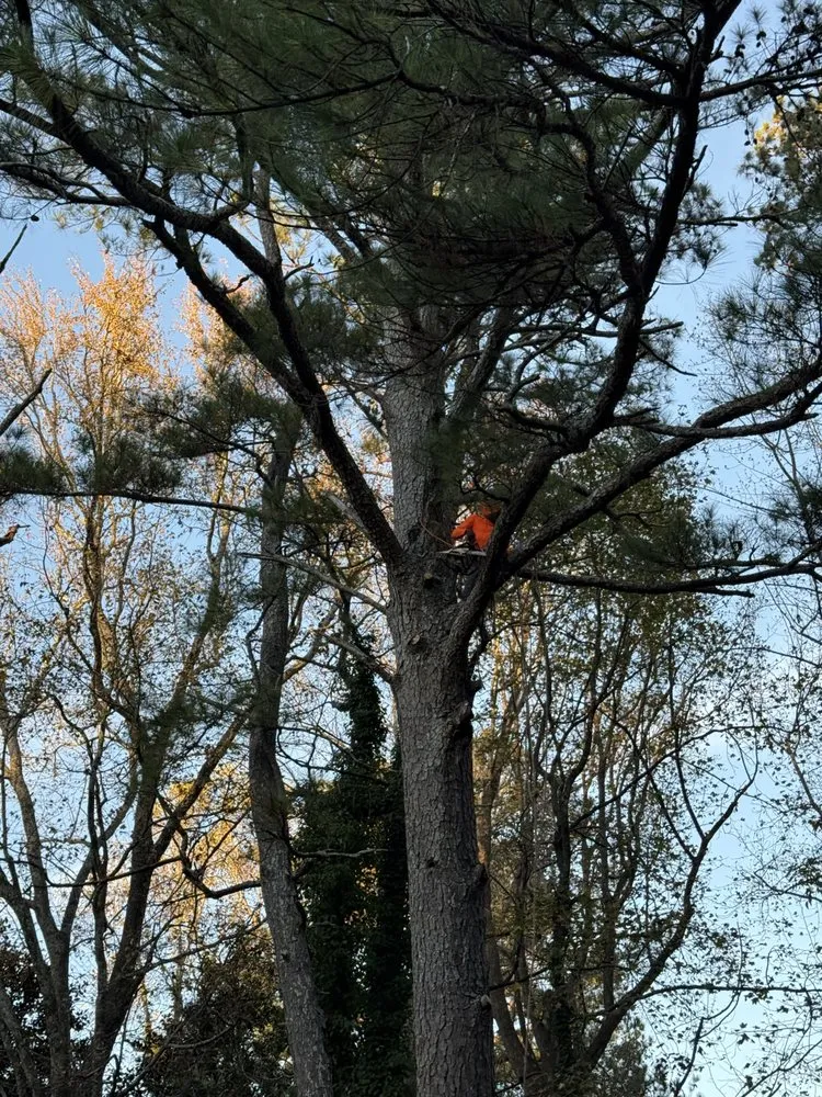 Expert lawn mowing service in McDonough, GA - Lawn Slayers