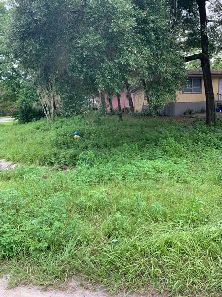 Local landscape design in Gainesville, FL by Lawn Smart