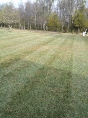 Lawn Smart LLC
