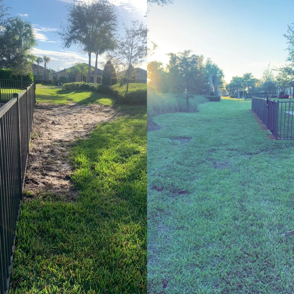 Trusted residential landscaping experts serving Vero Beach, FL - Lawn Smith