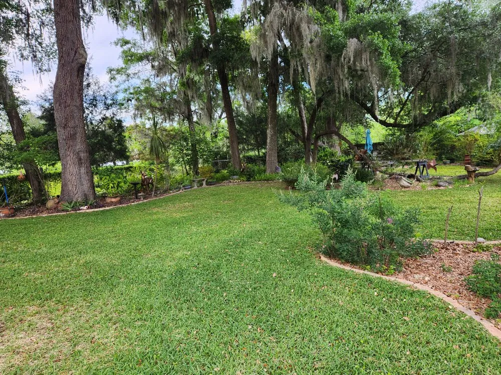 Professional lawn care service in Citra, FL by Lawn Snips