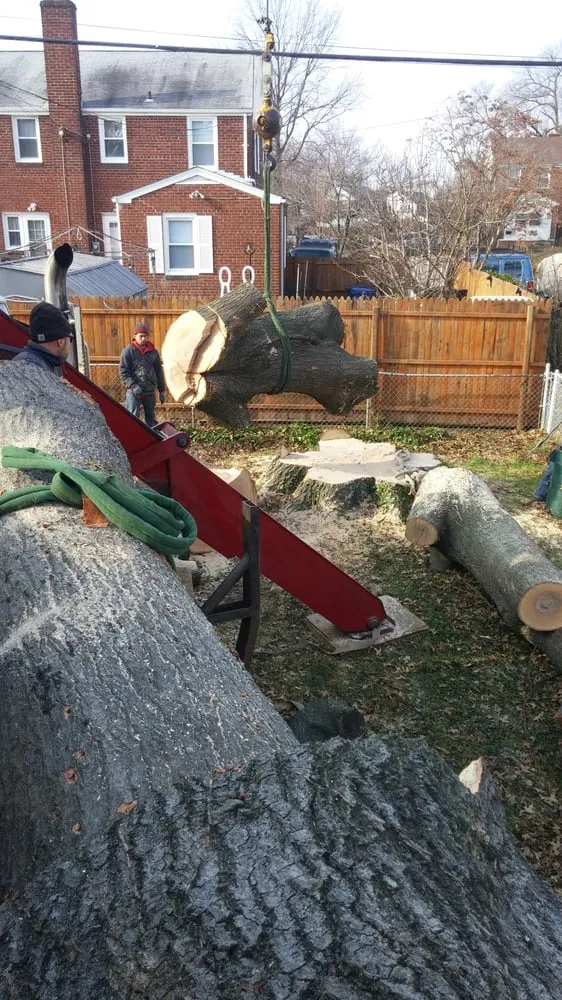 Expert outdoor landscaping with custom design across Alexandria, VA - Lawn Solutions