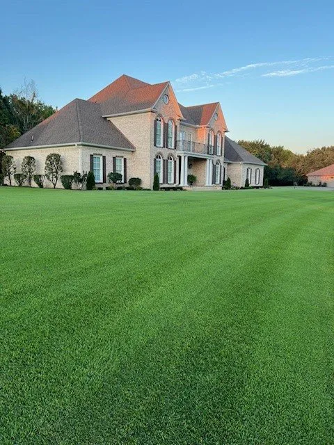 Expert lawn care service experts serving Arlington, TN - Lawn Solutions