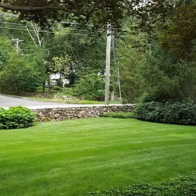 Top-rated yard cleanup service in Cos Cob, CT - Lawn Solutions