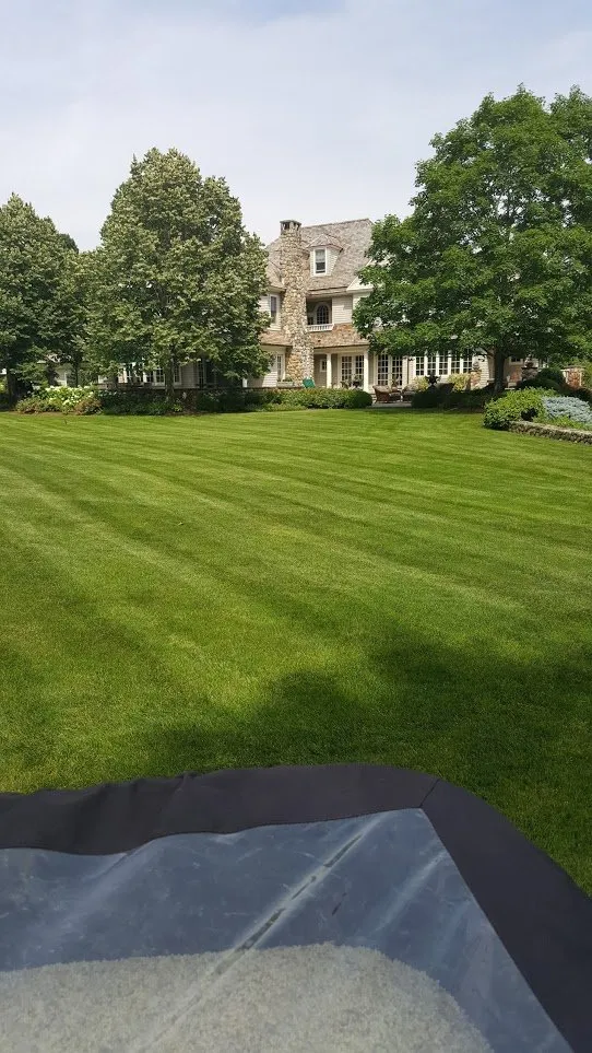 Professional yard maintenance for beautiful yards across Cos Cob, CT - Lawn Solutions