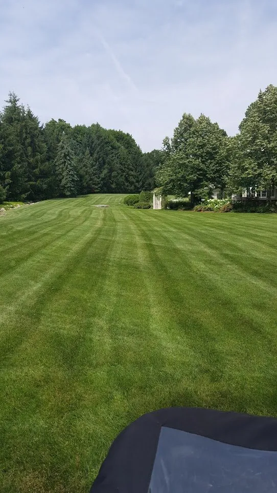 Custom yard cleanup service in Cos Cob, CT - Lawn Solutions