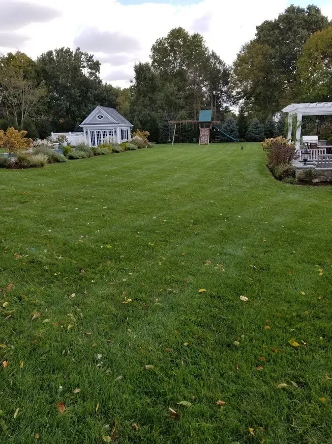 Custom lawn care service experts serving Cos Cob, CT - Lawn Solutions