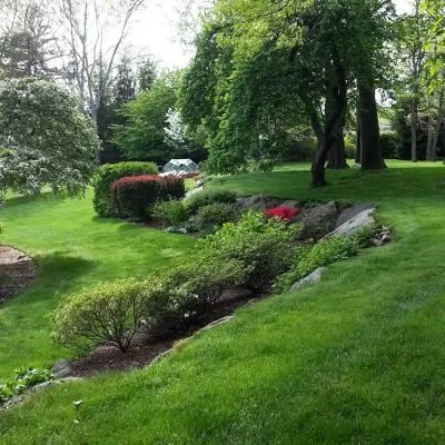 Professional landscaping services experts serving Cos Cob, CT - Lawn Solutions