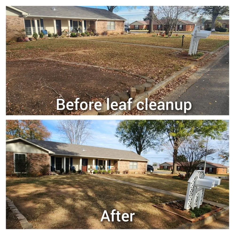 Top-rated lawn mowing service with custom design in Decatur, AL by Lawn  Solutions