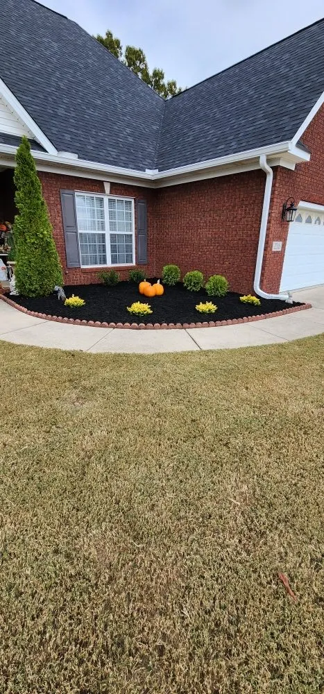 Custom landscape installation for year-round maintenance across Decatur, AL - Lawn  Solutions