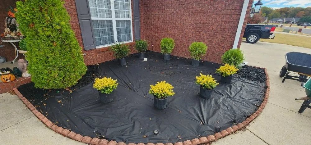 Expert lawn mowing service in Decatur, AL - Lawn  Solutions