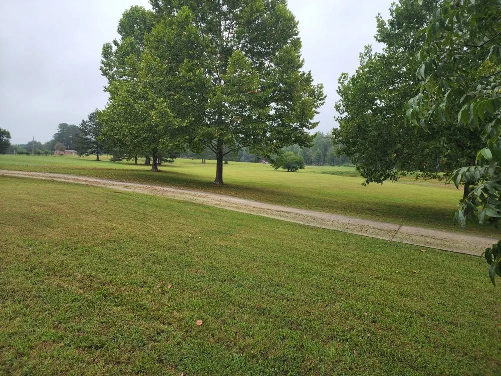 Affordable landscape installation experts serving Decatur, AL - Lawn  Solutions