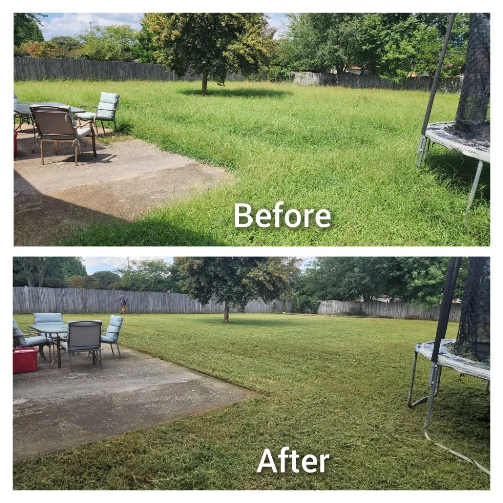 Local residential landscaping for residential properties in Decatur, AL by Lawn  Solutions