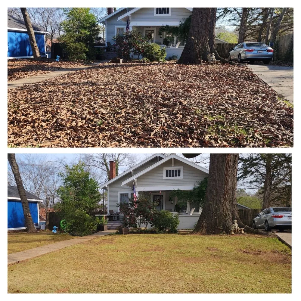 Custom landscape installation for year-round maintenance across Decatur, AL - Lawn  Solutions