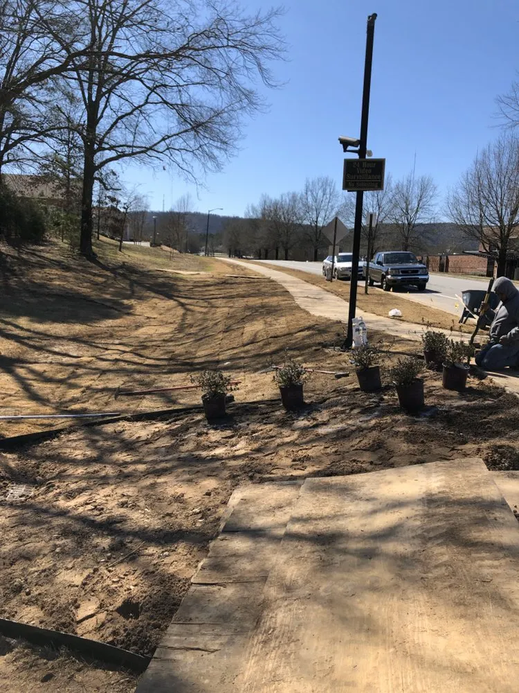 Reliable residential landscaping experts serving North Little Rock, AR - Lawn Solutions of Little Rock