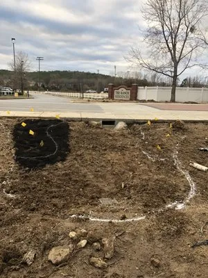 Lawn Solutions of Little Rock Logo