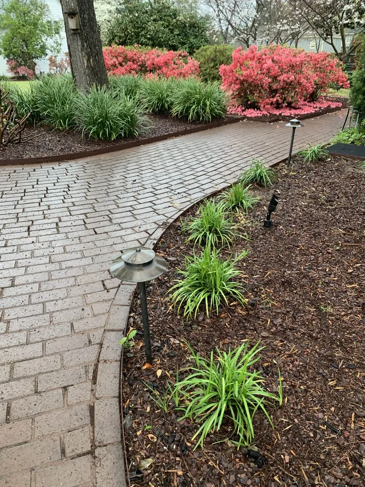 Trusted lawn care service for year-round maintenance in Sumter, SC by Lawn Solutions of Sumter