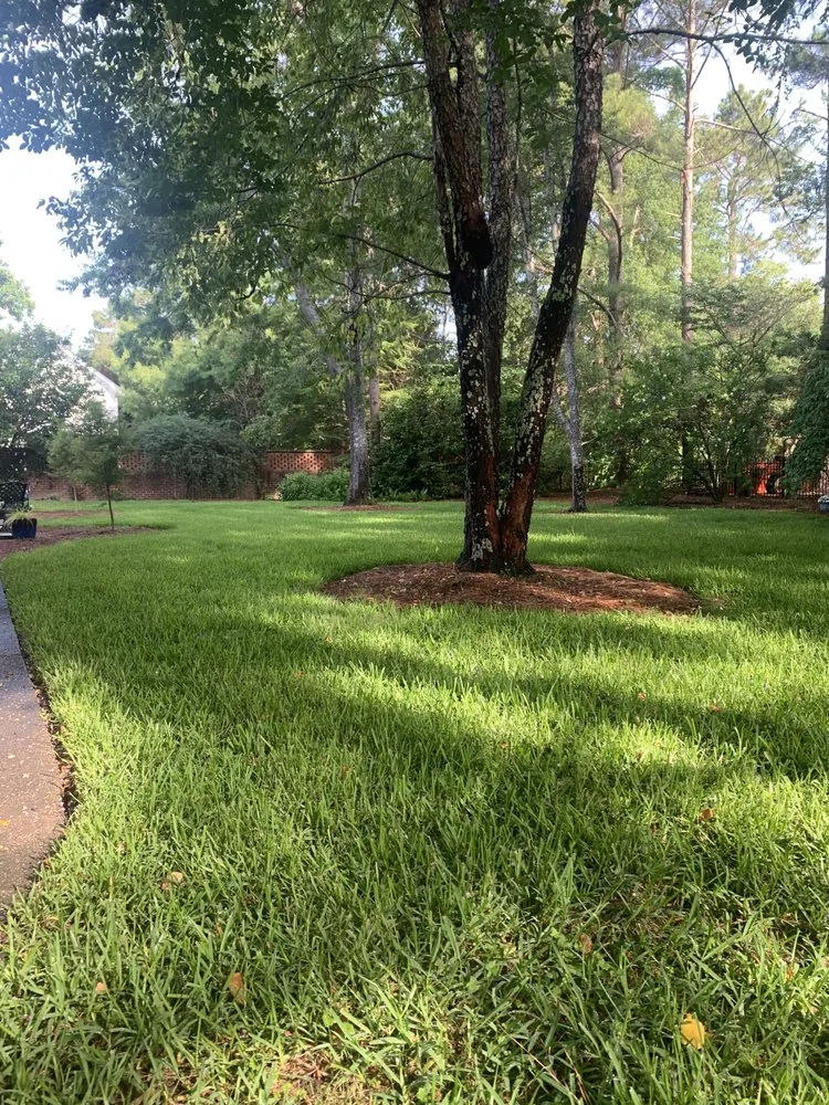 Affordable residential landscaping experts serving Sumter, SC - Lawn Solutions of Sumter