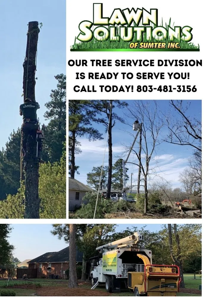 Affordable outdoor landscaping experts serving Sumter, SC - Lawn Solutions of Sumter